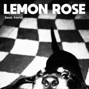 Comparateur de prix : Disques vinyles populaires : Best Friend