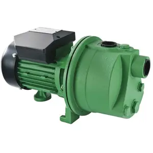 Comparateur de prix : Ribimex - Pompe de surface auto-amorçante 600w - Ribiland - prjet61