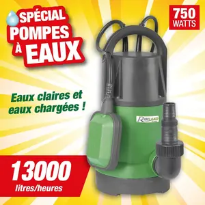 Comparateur de prix : Ribimex Ribiland Pompe immergee eaux claires et eaux chargees 750W
