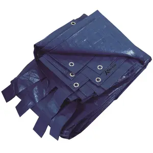 Ribimex PRBP14005X08 Bâche de piscine rectangulaire 5 x 8 m, Bleu, 5 x 8 m pas cher