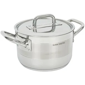 Gam'Hotel - Marmite induction avec couvercle inox - D.24 cm T.U