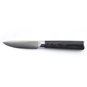 Gam'Hotel - Couteau légume Damarus noir - 20.5 cm T.U