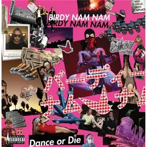 Comparateur de prix : Indépendant Birdy Nam Dance Or Die LP