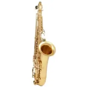 Comparateur de prix : Saxophone Tenor Sml T620-Ii - Série Nation