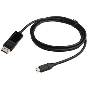 Câble DisplayPort vers USB Type C Erard 2 m Noir
