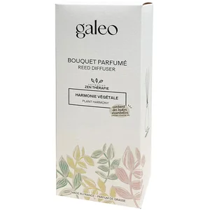 Galeo - BOUQUET PARFUMÉ AUX HUILES ESSENTIELLES HARMONIE VÉGÉTALE Diff... pas cher