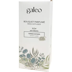 Galeo - BOUQUET PARFUMÉ AUX HUILES ESSENTIELLES TERRES INFINIES Diffus... pas cher
