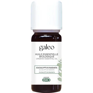 Huile essentielle biologique Eucalyptus Radiata                                - Galeo pas cher