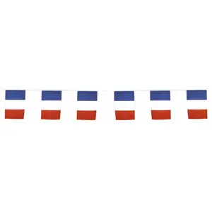 Guirlande drapeaux tricolore France 10 mètres pas cher