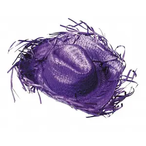 Comparateur de prix : Chapeau Cowboy Caraibe - PARTY PRO - Violet - Adulte - Extérieur