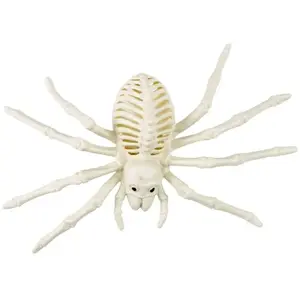 Comparateur de prix : Squelette d'Araignée 25cm