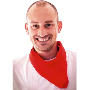 Comparateur de prix : Foulard Feria - PARTY PRO - Intérieur - Mixte - Adulte - Rouge