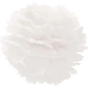 RueDeLaFete Boule Pompon Papier De Soie Blanche 40 cm pas cher