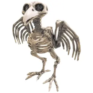 Comparateur de prix : Squelette de Corbeau