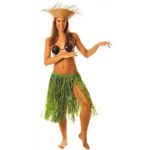 Comparateur de prix : Jupe longue hawaïenne en raphia verte - PARTY PRO - 60 cm