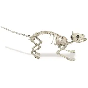 RueDeLaFete SQUELETTE DE CHAT 60CM - DECORATION DE FETE HALLOWEEN pas cher