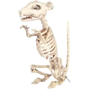 PartyPro SQUELETTE DE RAT - 33CM pas cher