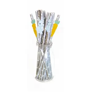 Sachet de 10 pailles LapinouVendu parruedelafete