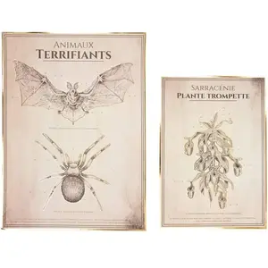 Comparateur de prix : Set de deux affiches Cabinet des curiosités Animaux
