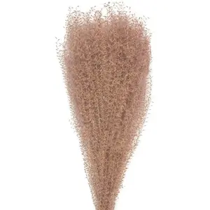 Party Pro 333FS7, Bouquet de 10 Pampas light brun naturel 60 cm pas cher