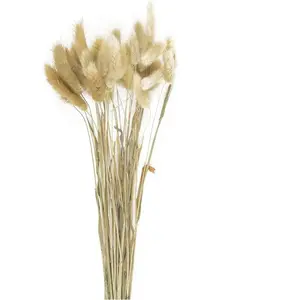 RueDeLaFete Bouquet de 30 bunny tails brun naturel 60 cm pas cher
