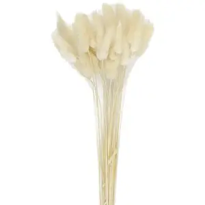RueDeLaFete Bouquet de 30 bunny tails blanc naturel 60 cm pas cher