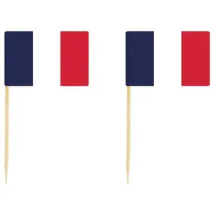 Comparateur de prix : Set de 10 pics à cocktail France