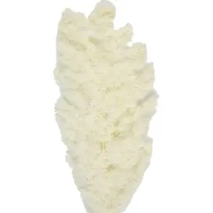 Party Pro 333FS23, Bouquet de Pampas Asparagus Blanc 70 cm pas cher