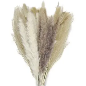 RueDeLaFete Bouquet fourni de Fleurs séchées Naturelles assorties 60cm pas cher