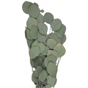 RueDeLaFete Bouquet de Feuillages de Pommier VERT 60 cm pas cher
