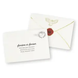Sachet de 16 Serviettes ENVELOPPE apprenti sorcier en papier