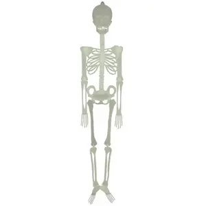 RueDeLaFete Squelette phosphorescent 150 cm pas cher