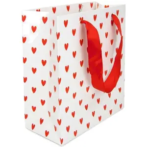 RueDeLaFete Sac papier petits coeurs rouges 28cm avec anses satin pas cher