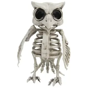 Comparateur de prix : Squelette de Chouette 17 cm