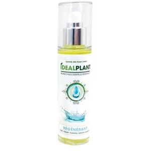 Huile essentielle IdealPlant Huiles régénérant 100 ml pas cher