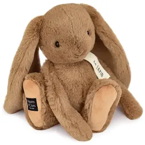 Portrait De Grand Mâle Orang-outan Photo Stock - Alamy