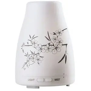 FINDIS EBJ Inconnue Diffuseur ocelia 120/240v pas cher