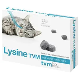 LYSINE BOULETTES CHAT / SYNDROME DU CORYZA - TVM