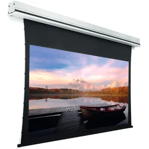 Comparateur de prix : Lumene SHOW PLACE UHD 4K TENSIONNE ACOUSTIC - Ecran lectrique encastrable
