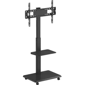 NORSTONE VISION PLUS pas cher