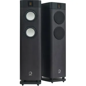 Enceintes colonne Elipson Legacy 3220 Chêne anthracite