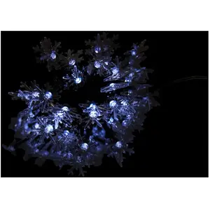 Comparateur de prix : Werka Pro - Guirlande solaire led blanc froid 6.5M (30LED)