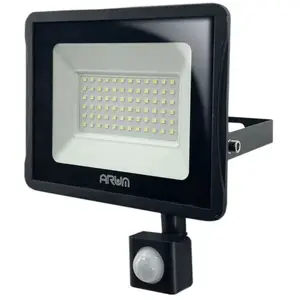 Projecteur led 30W Noir détecteur de mouvement extérieur IP65 Températ...