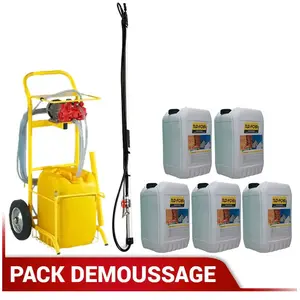 Pack démoussage Fobi pas cher