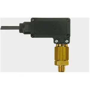 Pressostat nettoyeur haute pression 1/4 25 bar pas cher