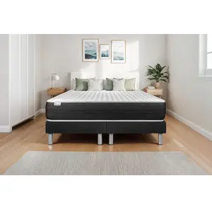 Comparateur de prix : VITALIT Ensemble Vitalspring 2x80x200cm
