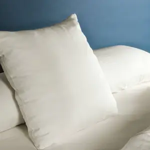 Comparateur de prix : Kadolis Taie d'oreiller pur coton Ecru (40 x 60 cm)