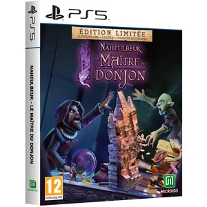 Jeux vidéo Microids Naheulbeuk'S Dungeon Master - PS5 Violet TU 10NAHMA2 pas cher
