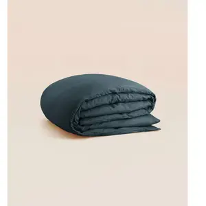 Tediber Housse de couette 200x200 cm - Lin fançais et belge - Gris - Respirant... pas cher