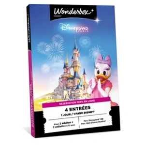 Comparateur de prix : Coffret cadeau Connect Disneyland Paris en famille 2 Adultes et 2 Enfa...